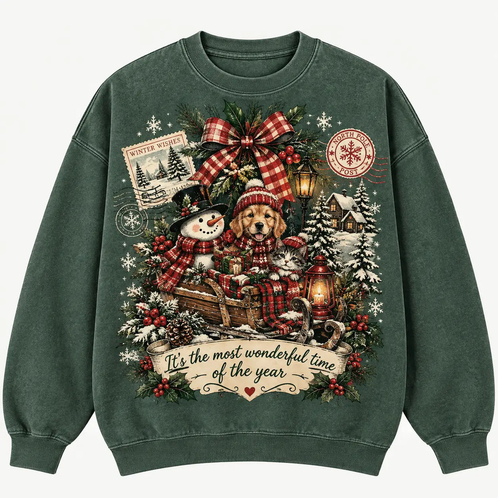 It's The Most Wonderful Time Of The Year Christmas Sweatshirt, Winter Sweater Outfit