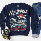 North Pole National Park Santa Eagle Sweatshirt, Winter Sweater Outfit